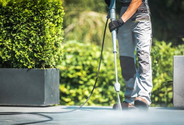 Best Vinyl Siding Pressure Washing in Colfax, CA