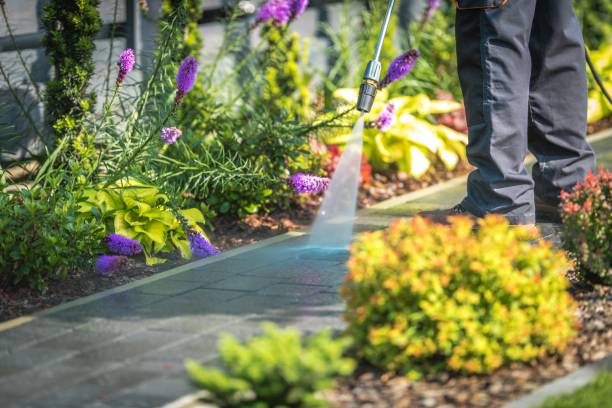 Best Fence Cleaning and Maintenance in Colfax, CA